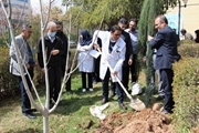 گرامیداشت روز درختکاری در مرکز آموزشی درمانی شهید دکتر فقیهی