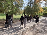 طراوت، همدلی و نشاط؛ گردهمایی بزرگ پرستاران و کارکنان بیمارستان در بوستان آزادی به مناسبت هفته پرستار